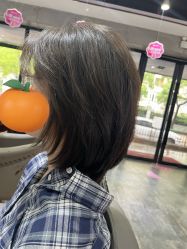 -心联形象设计·流星染