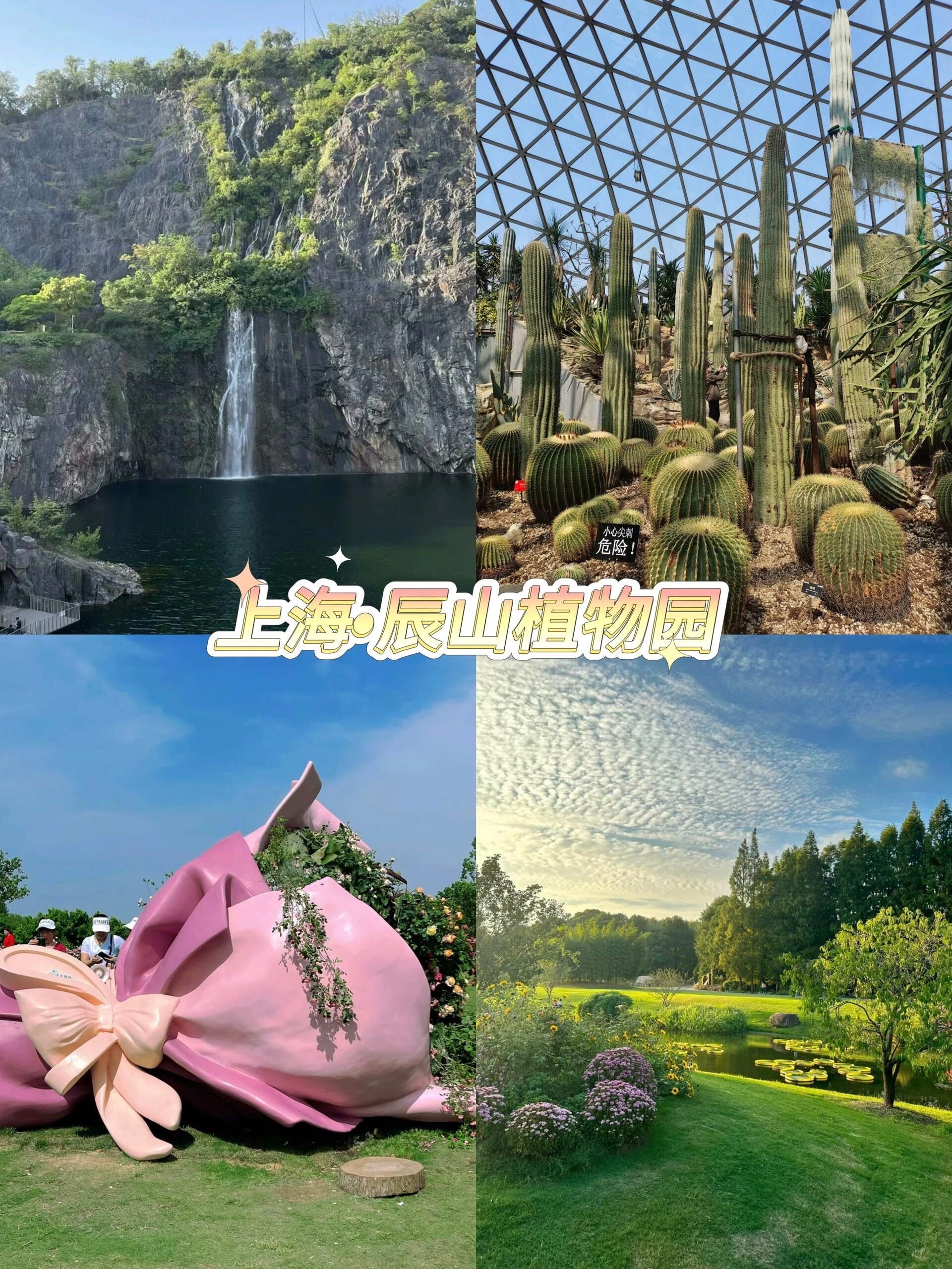 五一去哪里玩 上海·辰山植物园99