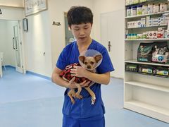 -全心全意动物诊疗中心医院(北苑店)