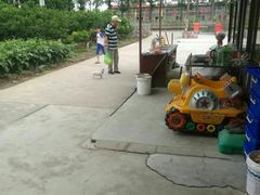 -小六农家乐(崇明西沙湿地店)