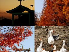 -南京市无想山景区