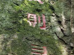 -天女山森林公园