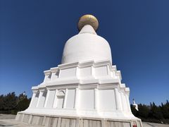 -凉州白塔寺景区
