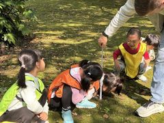 -杭州龙井幼儿园