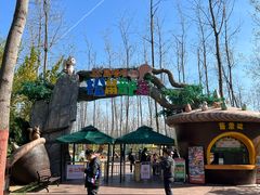 -合肥滨湖国家森林公园