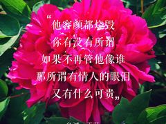 -木塔寺遗址生态公园