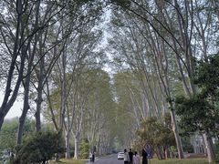 -河南省黄河迎宾馆