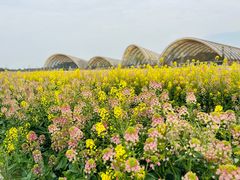 -中国天府农业博览园