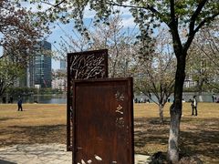 -西北湖绿化广场