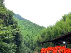 -将军关探险漂流