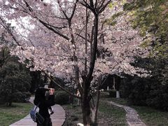 -川渝又一村火锅烤肉自助(步行街店)