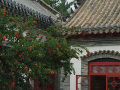 -杨家埠民间艺术大观园