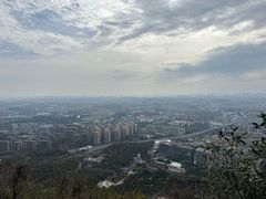 -杭州半山国家森林公园