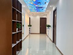 -翊宠yipet猫狗购宠庄园犬舍•猫舍