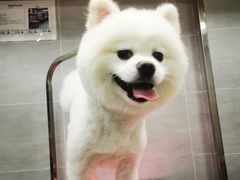 -宠福鑫康馨动物医院·骨科·眼科