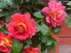 -齐白石旧居纪念馆