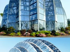 -上海植物园-4号门售票处