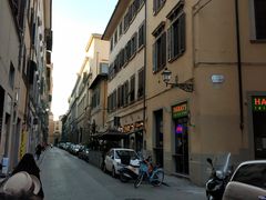 -圣母百花大教堂穹顶