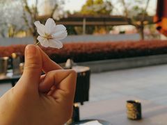 -人间酒暖·Go blanc·烧鸟·深夜食堂(陆家嘴店)