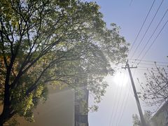 -王虎子大饼(甸柳新村五区店)