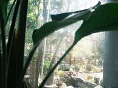 -谷咖啡·鲜花绿植花园餐厅