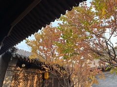 -VOYAGE COFFEE(北锣鼓巷店)
