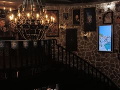 -雪灵魔法世界SHELLY’S TAROT(大良桂畔里店)