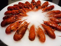 冰镇蓝龙虾-红盔甲·小龙虾(天钥桥店)