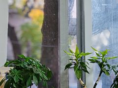 -清真-戏楼王记牛肉面