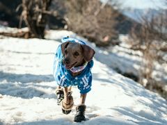 -太子岭滑雪场
