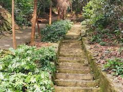 -缙云山景区