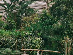 -南宫五洲植物乐园