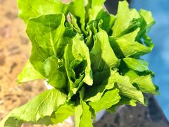 -小龙坎老火锅(北京三里屯店)