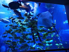 -太平洋海底世界