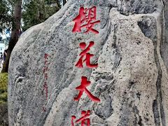 -武汉大学-樱园
