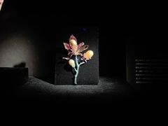 -深圳珠宝博物馆