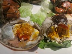 -西街夜油条·麻团包乌饭