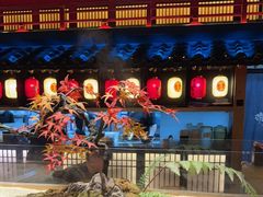-牛New寿喜烧(金茂览秀城店)
