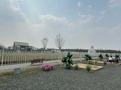 -天津东丽湖风景区