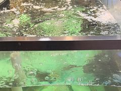 -鱼痴渔醉·食鲜集(月亮湾店)