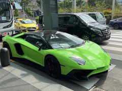 -新加坡瑞士史丹福酒店