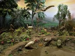 -陕西自然博物馆