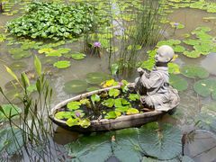 -中国科学院西双版纳热带植物园