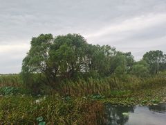 -太湖湖滨国家湿地公园-停车场