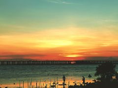 -宝安西湾红树林湿地公园