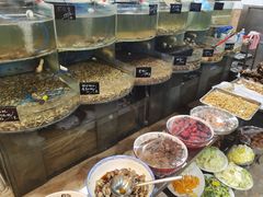 -鑫渔港海鲜本地菜·山海关浑锅(东戴河店)