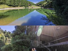 -武陵山森林公园