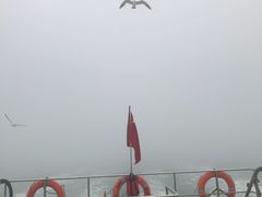 -海驴岛(荣成市)