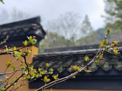 -慧因高丽寺