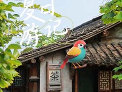 -乌镇景区